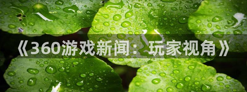 极悦娱乐平台官网入口：《360游戏新闻：玩家视角》