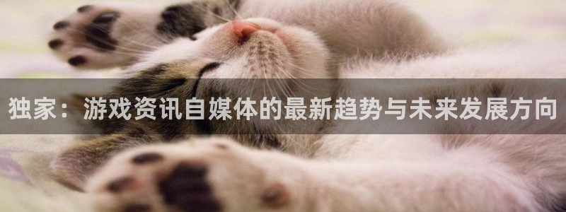 极悦娱乐主管：独家：游戏资讯自媒体的最新趋势与未来发展方向