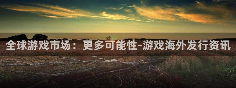 极悦娱乐注册网站：全球游戏市场：更多可能性-游戏海外发行资讯