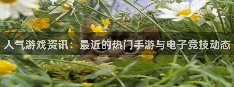 极悦娱乐登录地址：人气游戏资讯：最近的热门手游与电子竞技动态