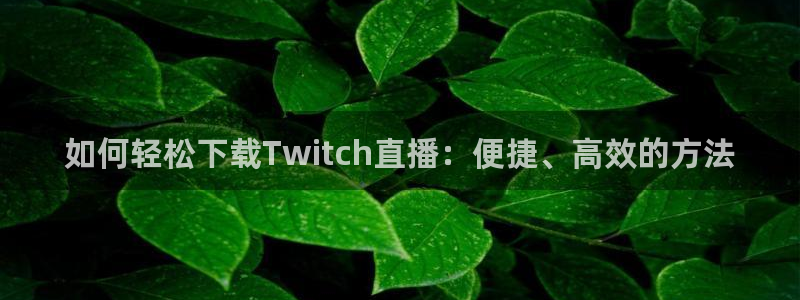 极速体育篮球直播吧：如何轻松下载Twitch直播：便捷、高效的方法