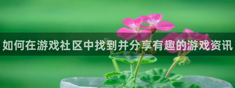 极悦娱乐娱乐是真的吗：如何在游戏社区中找到并分享有趣的游戏资