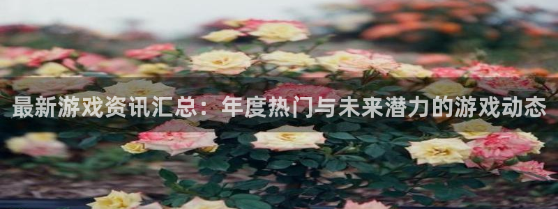 极悦娱乐注册官方登录app：最新游戏资讯汇总：年度热门与未来