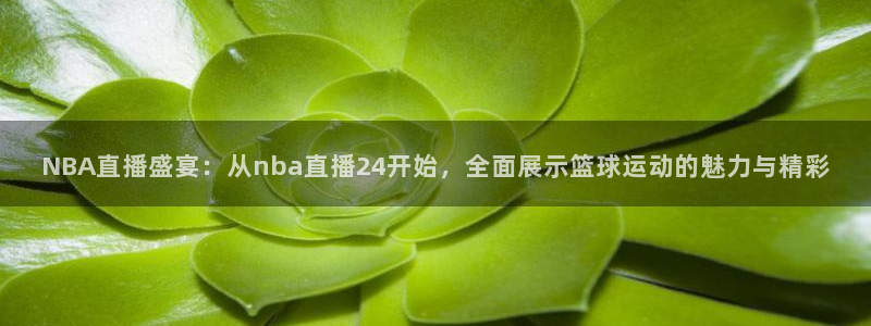 nba直播吧 极速体育：NBA直播盛宴：从nba直播24开始，全面展示篮球运动的魅力与精彩