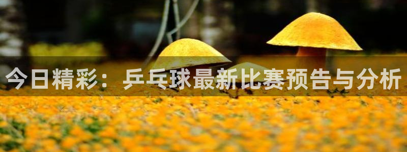 极速体育直播吧nba：今日精彩：乒乓球最新比赛预告与分析