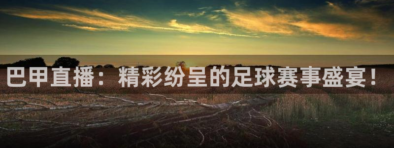 极速直播nba直播