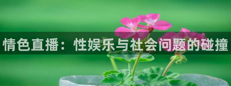 极速nba直播体育直播吧：情色直播：性娱乐与社会问题的碰撞